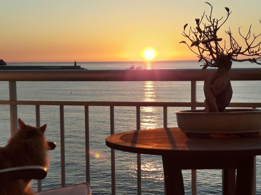 Apartamento La Casa Del Port Jávea Exterior foto