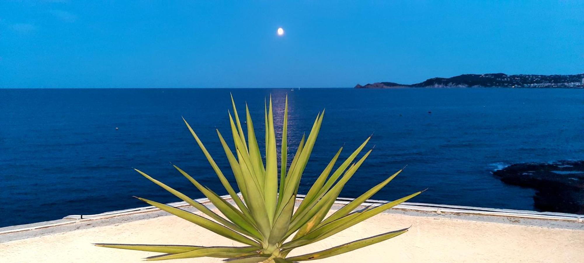 Apartamento La Casa Del Port Jávea Exterior foto